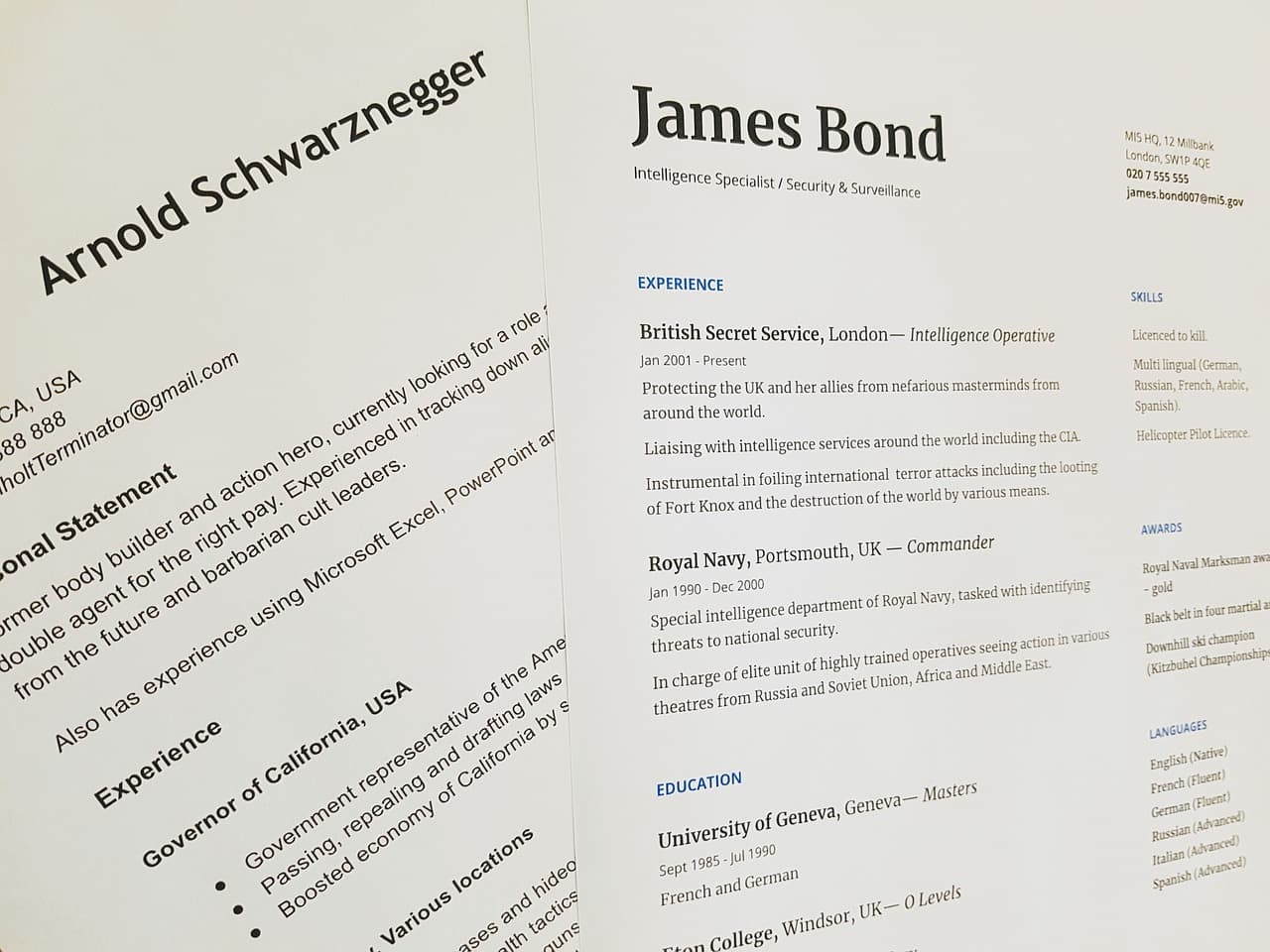 Best Career Objective Examples for Various Industries