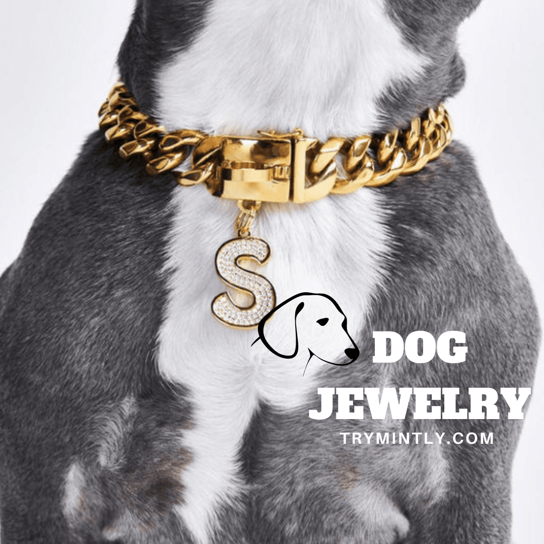 The Ultimate Guide to Jewelry for Dogs