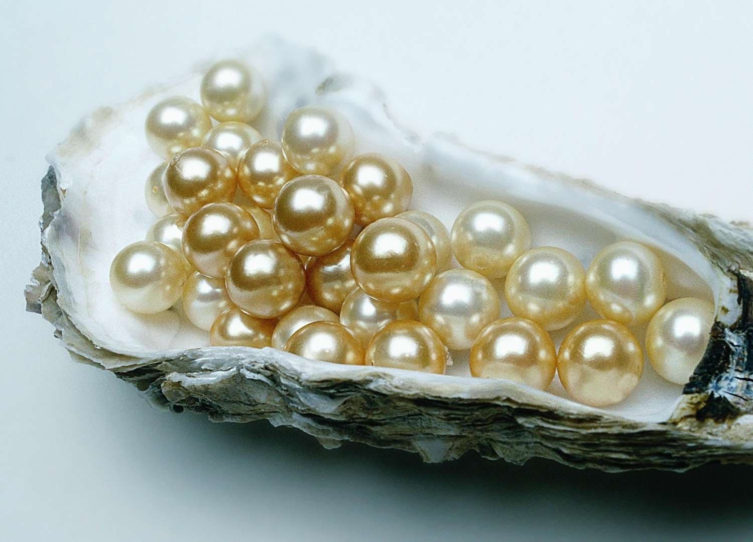 Why are Pearls so popular among women in 2023?